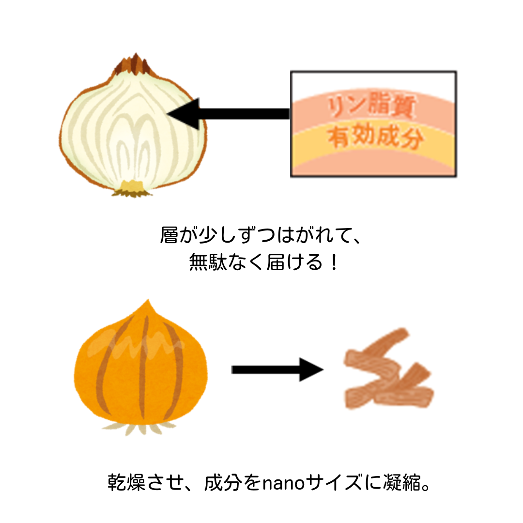 Next C nano(ネクストシーナノ) - 画像 (5)