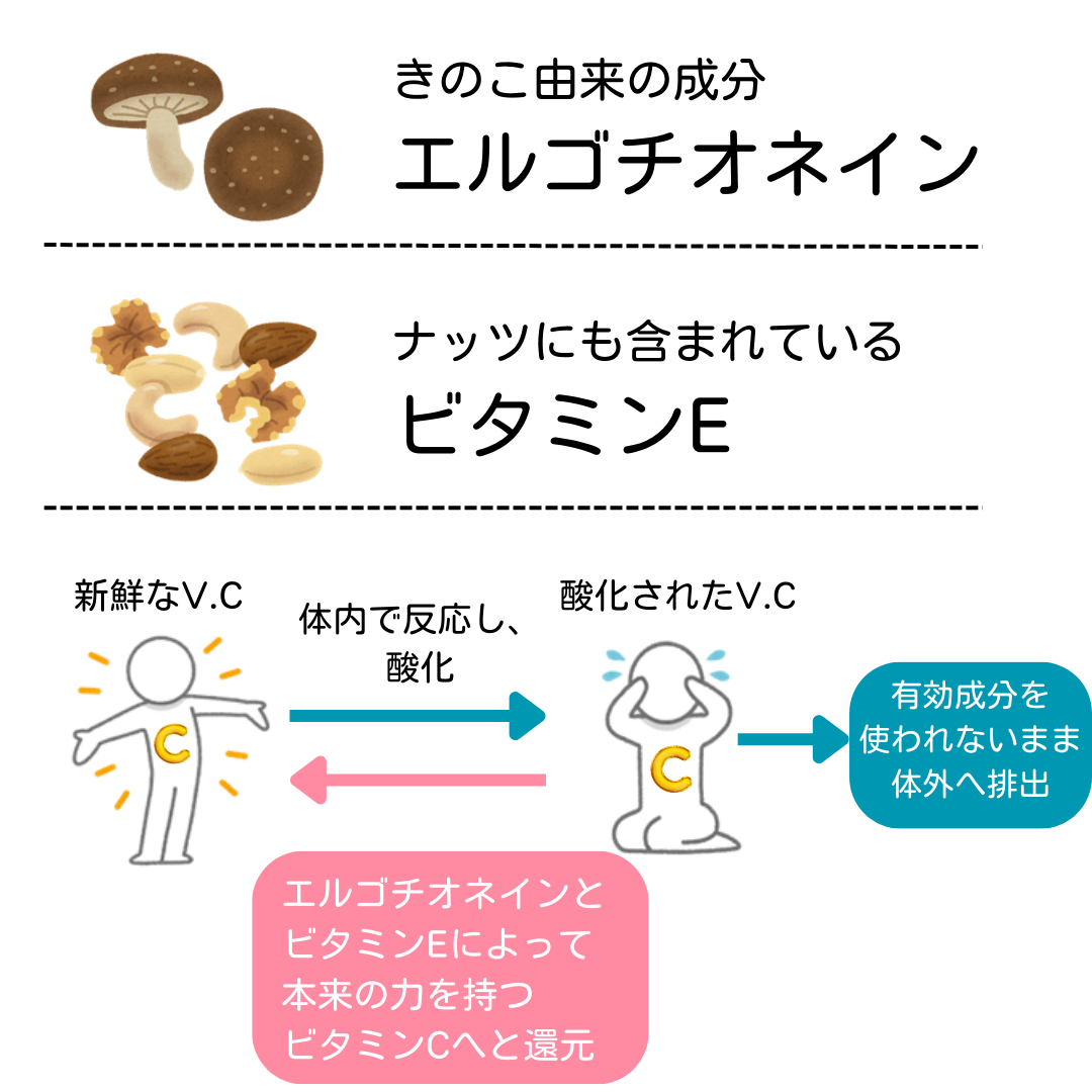 Next C nano(ネクストシーナノ) - 画像 (6)