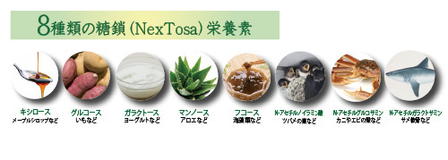 NexTosa(ネクストーサ) - 画像 (3)